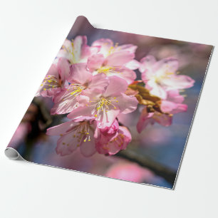 Ein Fest der rosa Sakura-Blume Geschenkpapier