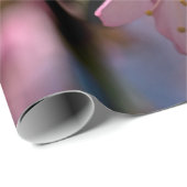 Ein Fest der rosa Sakura-Blume Geschenkpapier (Rolleneckpunkt)