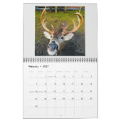Ein Feuerinselkalender 2025 Kalender (Feb 2027)