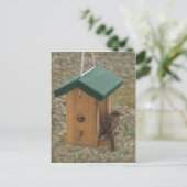 Ein Finch am Feeder Postkarte (Stehend Vorderseite)