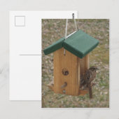 Ein Finch am Feeder Postkarte (Vorne/Hinten)