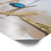 Ein Fischer auf seinem Ast Fotodruck (Ecke)