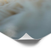 Ein flauschiger, samtiger Welpe, der friedlich sch Poster (Ecke)