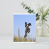 Ein fliegender Hund! Postkarte (Stehend Vorderseite)