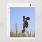 Ein fliegender Hund! Postkarte (Vorne/Hinten)