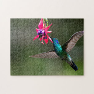 Ein fliegender schillernder Kolibri genießt Nektar Puzzle