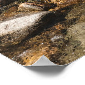 Ein fließender Fluss mit klarem Wasser, der wi fli Poster (Ecke)