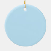 Ein Florida-Delfin Keramik Ornament (Hinten)