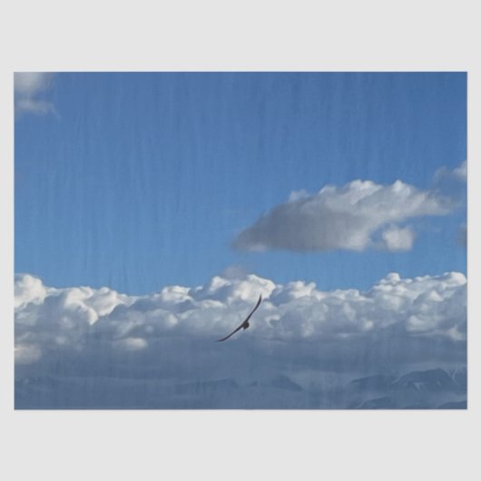 Ein Flug unter den Wolken Seidenpapier (Vorderseite)