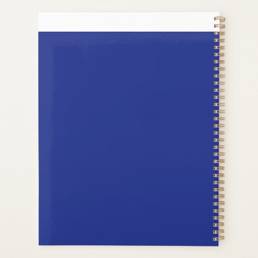 ein Flugzeug, das mit einem blauen Hintergrund in Planer (Rückseite)