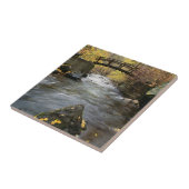 Ein Fluss, der durch amerikanische Gabel-Schlucht Fliese (Seite)