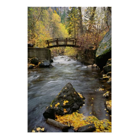 Ein Fluss, der durch den American Fork Canyon flie Poster (Vorderseite)