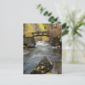 Ein Fluss, der durch den American Fork Canyon flie Postkarte (Stehend Vorderseite)