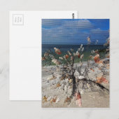 Ein Flüstern ist heilig Postkarte (Vorne/Hinten)