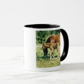 Ein Fohlen und ein Pferd in einer Weide Tasse (VorderseiteRechts)