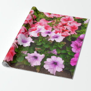 Ein Foto der Natur ist eine wunderschöne Petunia-B Geschenkpapier