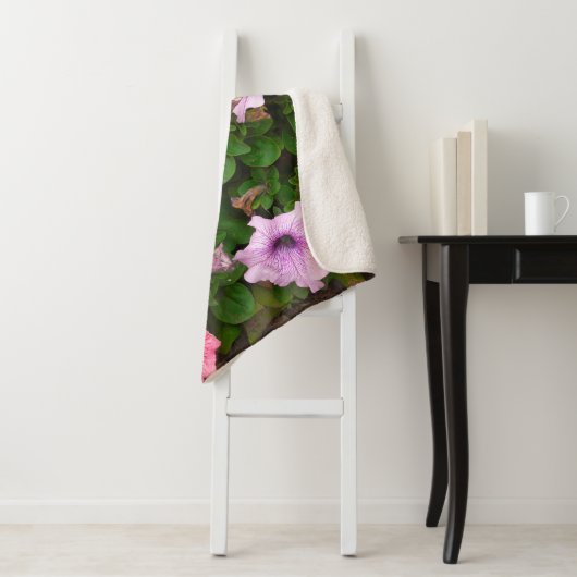 Ein Foto der Natur ist eine wunderschöne Petunia-B Sherpadecke (Beispiel)