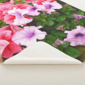 Ein Foto der Natur ist eine wunderschöne Petunia-B Sherpadecke (3/4)