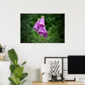 Ein Foxglove Down Light Poster (Heimbüro)