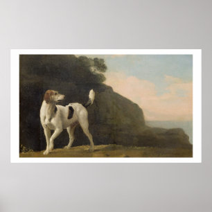 Ein Foxhound, c.1760 (Öl auf dem Papier an Bord Poster