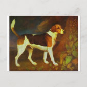 Ein Foxhound, Ringwod von George Stubbs Postkarte (Vorderseite)