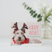 Ein Foxterrier wird oben für Weihnachten gekleidet (Stehend Vorderseite)