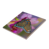 Ein Frack Butterfly Fliese (Seite)