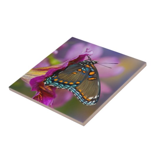 Ein Frack Butterfly Fliese (Seite)