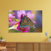 Ein Frack Butterfly Leinwanddruck (Insitu (Wohnzimmer))