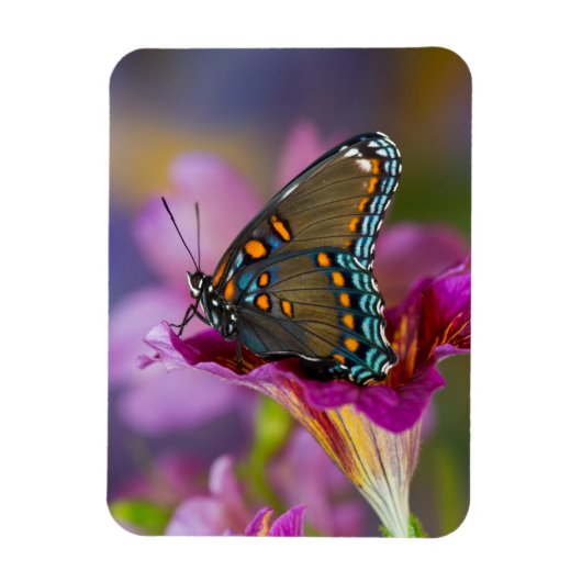 Ein Frack Butterfly Magnet (Vertikal)