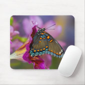 Ein Frack Butterfly Mousepad (Mit Mouse)