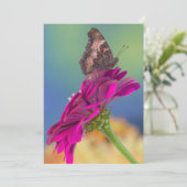 Ein Frack Butterfly | Papilio Multicaudatus Dankeskarte (Stehend Vorderseite)