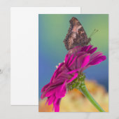 Ein Frack Butterfly | Papilio Multicaudatus Dankeskarte (Vorne/Hinten)
