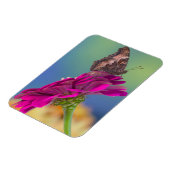 Ein Frack Butterfly | Papilio Multicaudatus Magnet (Linke Seite)