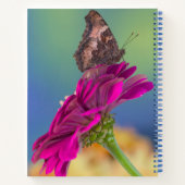 Ein Frack Butterfly | Papilio Multicaudatus Notizblock (Rückseite)