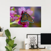 Ein Frack Butterfly Poster (Heimbüro)