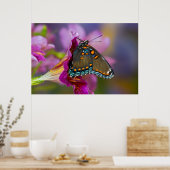 Ein Frack Butterfly Poster (Küche)