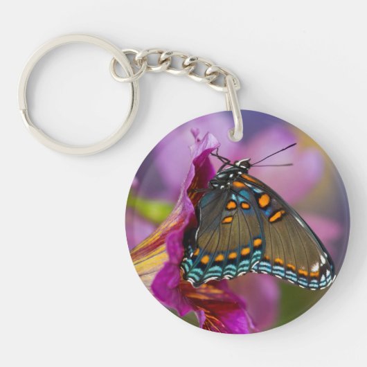 Ein Frack Butterfly Schlüsselanhänger (Vorderseite)