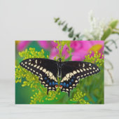 Ein Frack-Schmetterling-Landing Dankeskarte (Stehend Vorderseite)