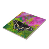 Ein Frack-Schmetterling-Landing Fliese (Seite)