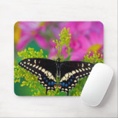 Ein Frack-Schmetterling-Landing Mousepad (Mit Mouse)
