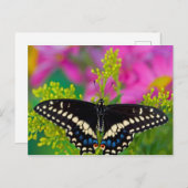 Ein Frack-Schmetterling-Landing Postkarte (Vorne/Hinten)