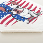 Ein französischer Bulldogge mit amerikanischer Fla Sherpadecke (3/4)