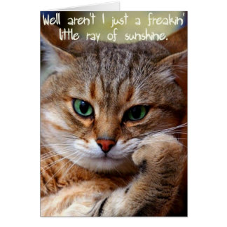 Ein Freakin Sonnenstrahl