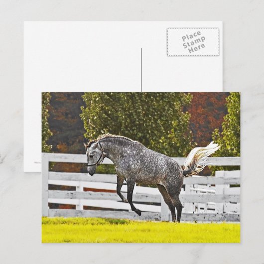 Ein freudiger Schritt Postkarte (Vorne/Hinten)