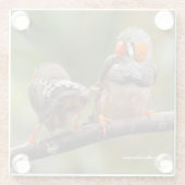 Ein freudliches Paar aus Zebra Finches Songbirds Glasuntersetzer (Rückseite)