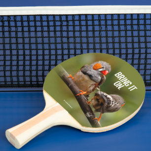 Ein freudliches Paar Zebra Finch Songbirds Tischtennis Schläger