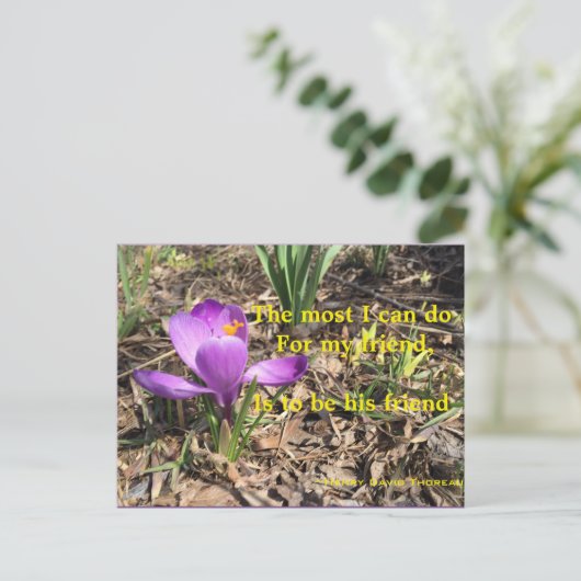 EIN FREUND - THOREAU POSTCARD SEIN POSTKARTE (Stehend Vorderseite)