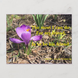 EIN FREUND - THOREAU POSTCARD SEIN POSTKARTE