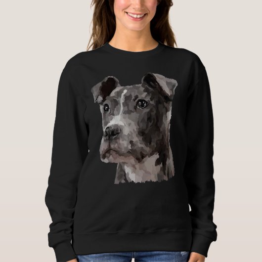 Ein Freund von Pitbull Sweatshirt (Vorderseite)